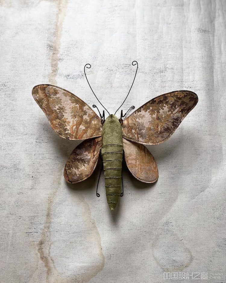 浪漫的掛毯在精巧縫制中變成了夢幻飛蛾！