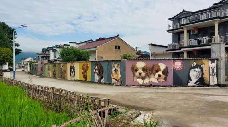 鄉(xiāng)村美化環(huán)境，農(nóng)村人居環(huán)境整治